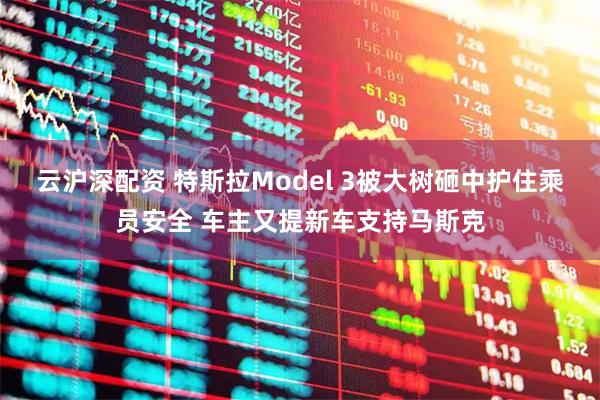 云沪深配资 特斯拉Model 3被大树砸中护住乘员安全 车主又提新车支持马斯克