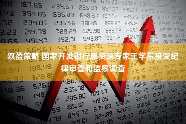 双盈策略 国家开发银行原资深专家王学东接受纪律审查和监察调查