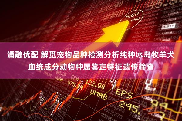 涌融优配 解觅宠物品种检测分析纯种冰岛牧羊犬血统成分动物种属鉴定特征遗传筛查