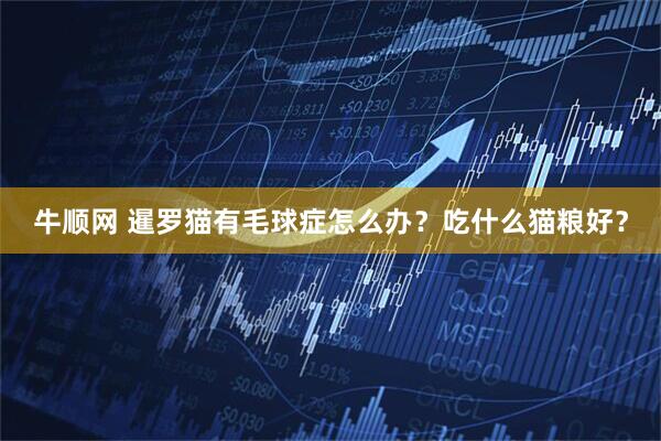 牛顺网 暹罗猫有毛球症怎么办？吃什么猫粮好？