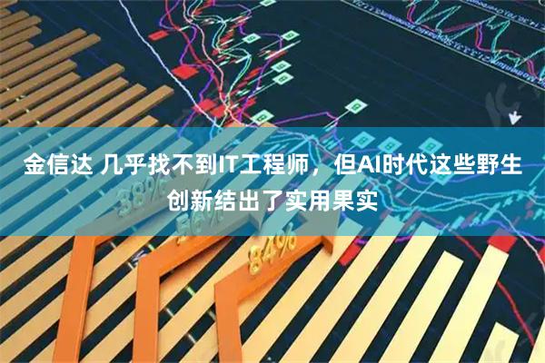 金信达 几乎找不到IT工程师，但AI时代这些野生创新结出了实用果实
