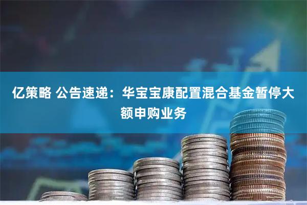 亿策略 公告速递：华宝宝康配置混合基金暂停大额申购业务