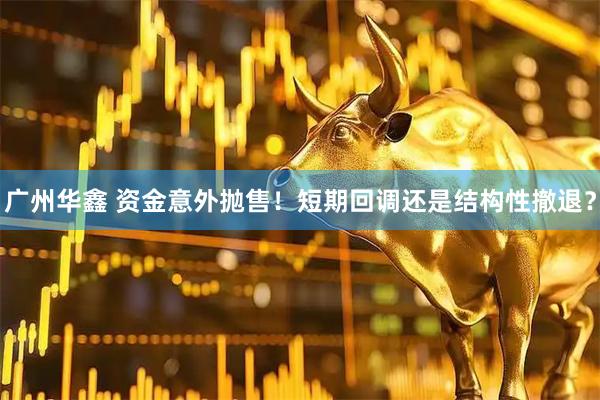 广州华鑫 资金意外抛售！短期回调还是结构性撤退？