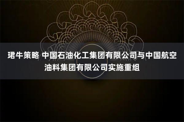 珺牛策略 中国石油化工集团有限公司与中国航空油料集团有限公司实施重组